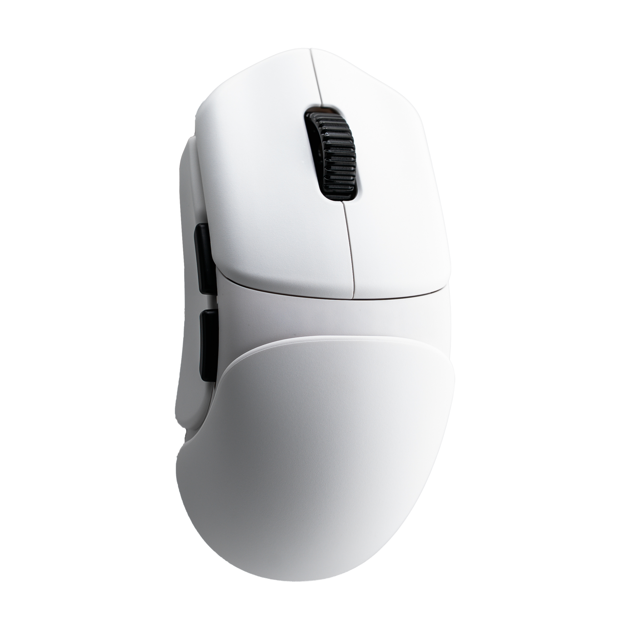 F_white.png?v=1755066296&width