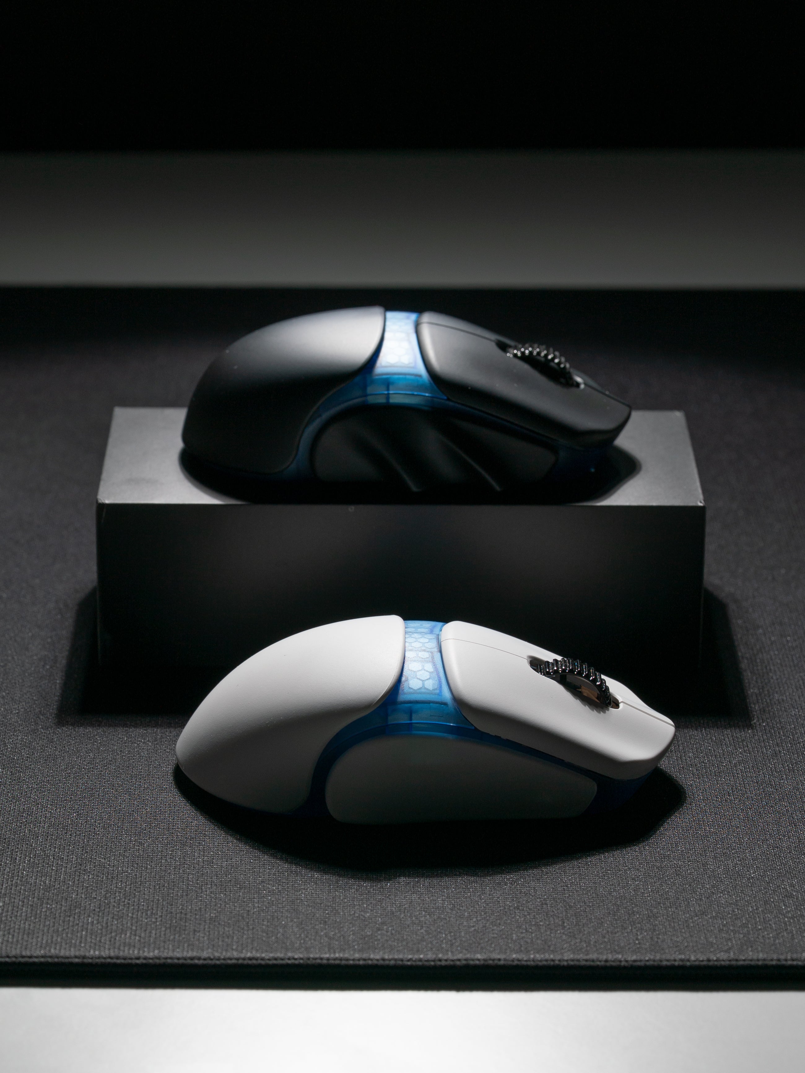 Terra Blue Core Body - gallery image 3